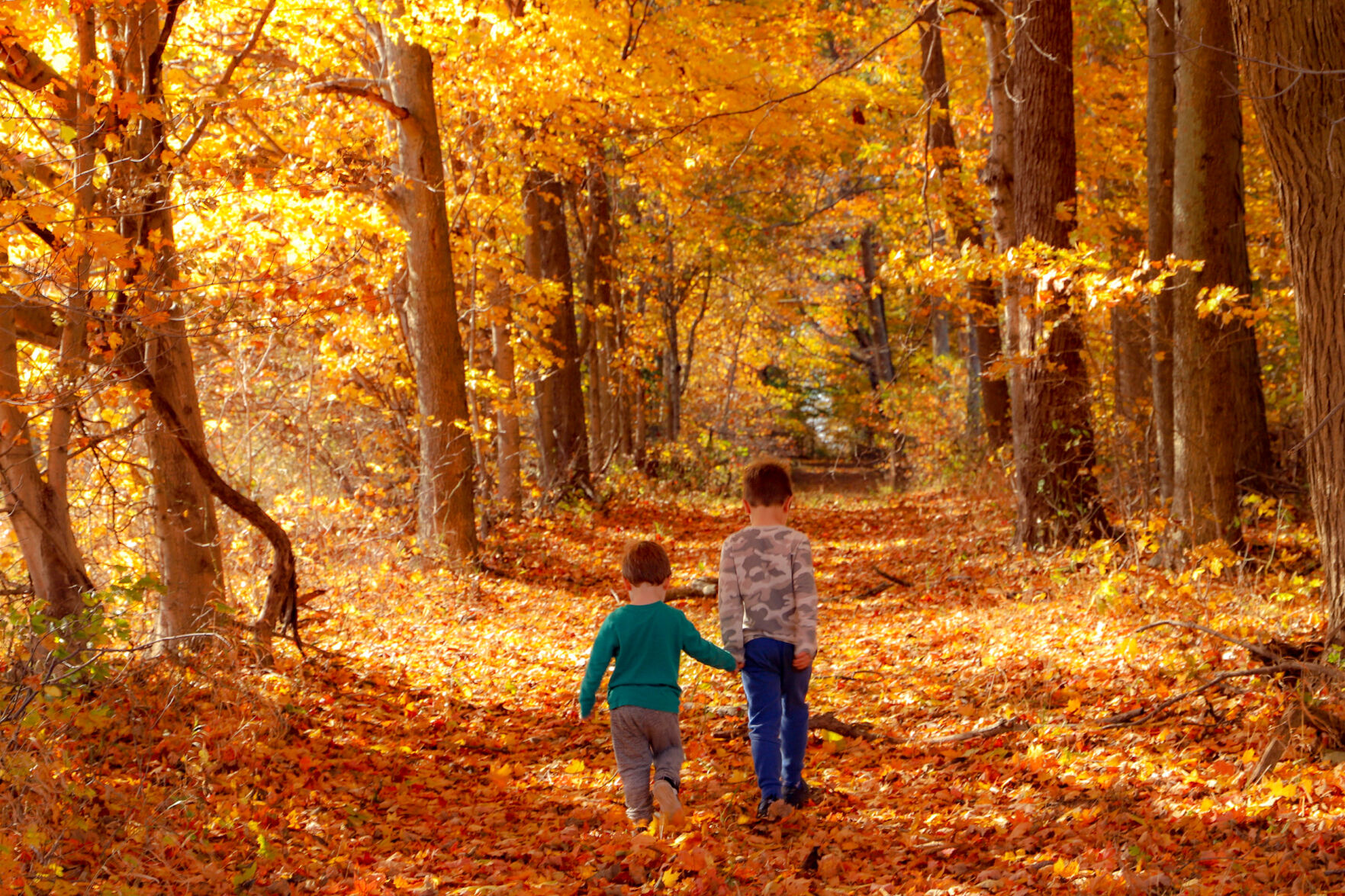 Nature Quest challenges kids of all ages to explore